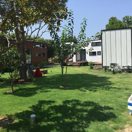 Sakiz Tiny House & Apart Urla Extérieur photo