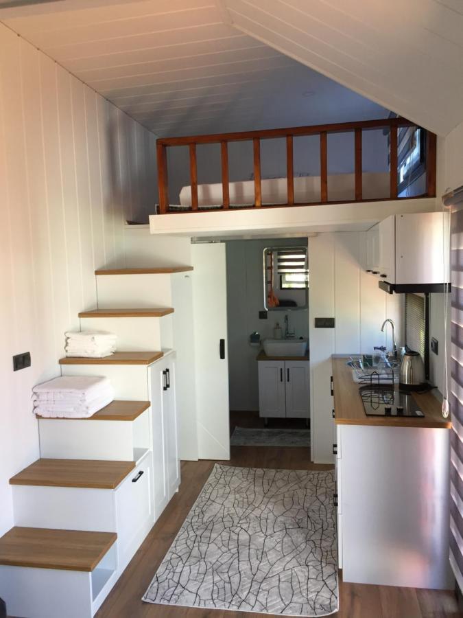 Sakiz Tiny House & Apart Urla Extérieur photo