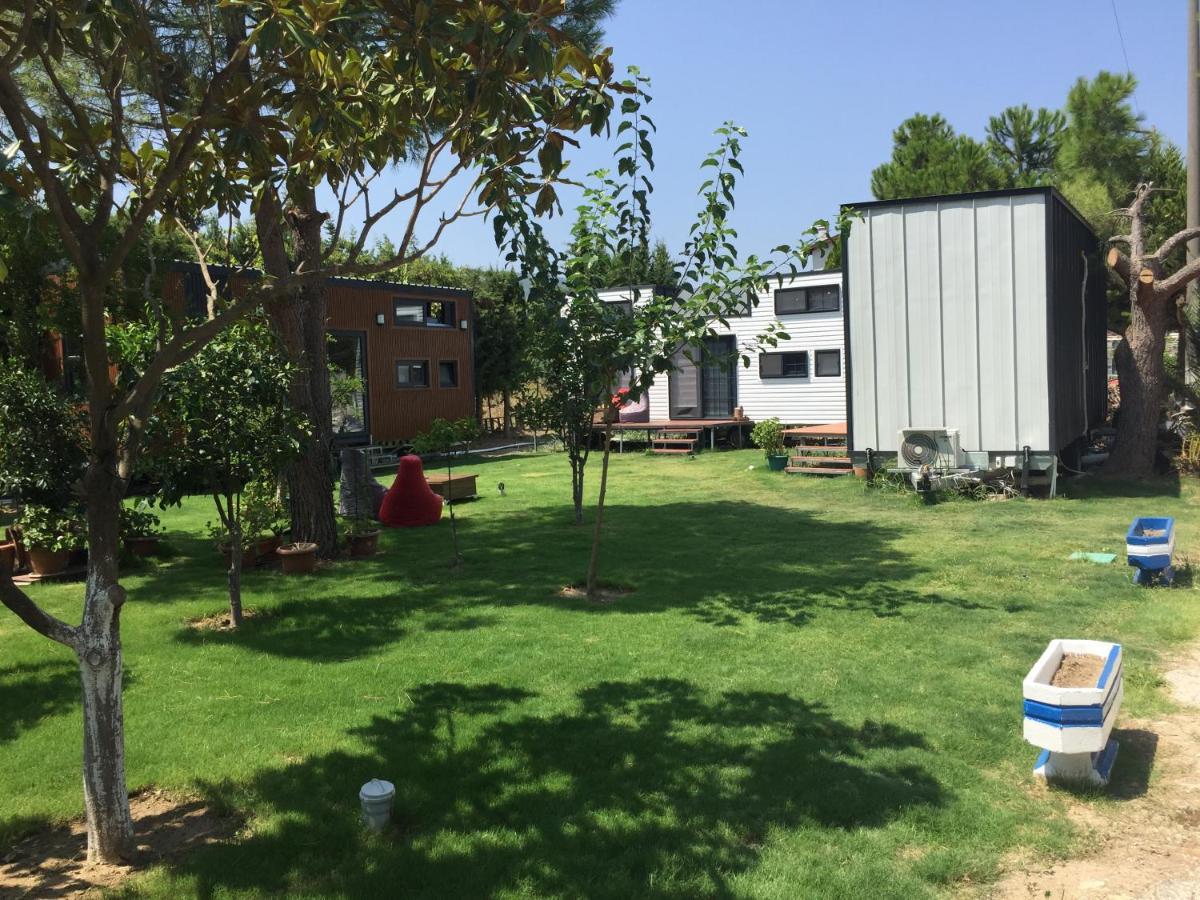 Sakiz Tiny House & Apart Urla Extérieur photo